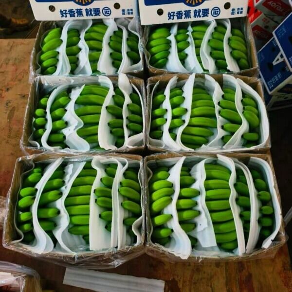 Laos Banana – Bild 3