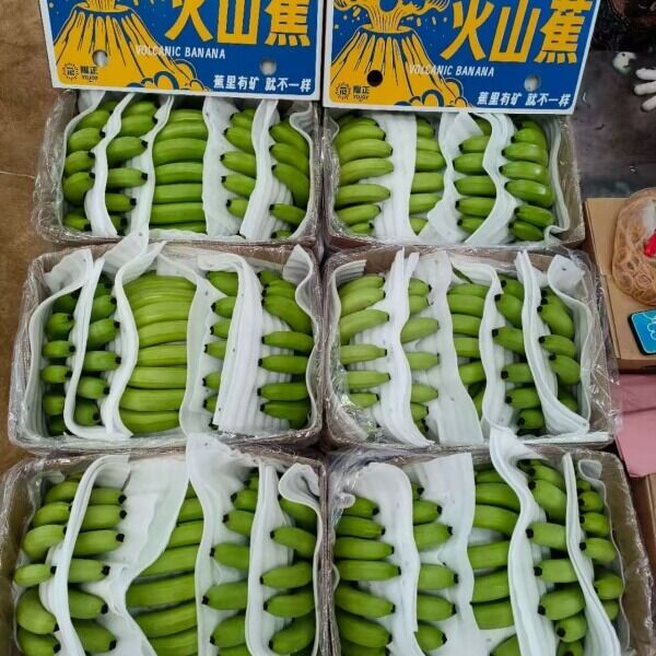 Laos Banana – Bild 4